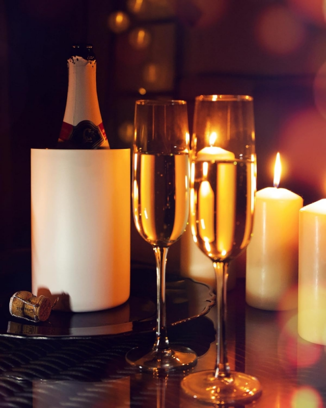 Double Wall Insulated Wine Cooler 1.6L